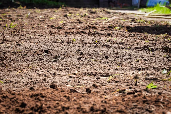 Garden work. rake in the ground. digging rping soil with rake in the garden, gardening,farming,seeding concept closeup