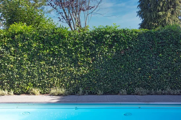 Patio trasero con piscina residencial envolvente al aire libre, jardín, terraza y cobertura verde día soleado en el verano —  Fotos de Stock