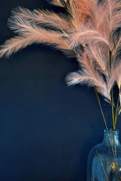 Φόντο Αποξηραμένα Ροζ Πάμπας Γρασίδι Μοντέρνα Διακόσμηση Αποξηραμένο Γρασίδι Για — Φωτογραφία Αρχείου