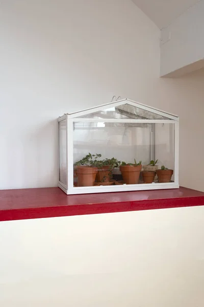 작은 온실, 자기 생태계 녹색 집 식물을 위한 유리 용기, 현대적 인 장식, 복제품 공간 이 있는 실내에서 자라는 바이오 에너지 — 스톡 사진