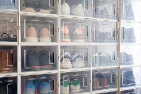 Collectie Van Verschillende Sneakers Indoor Schoenenrek Van Sneakers Liefhebbers Perfecte — Stockfoto