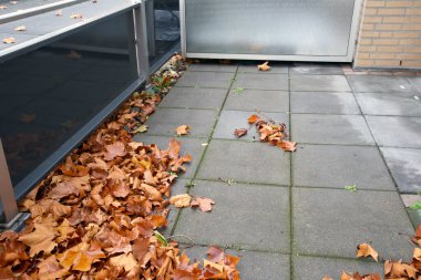 Sarı akçaağaç yaprağı apartmanın balkonunda yatar, sonbahar yaprakları yığının temizlenmesi gerekir.