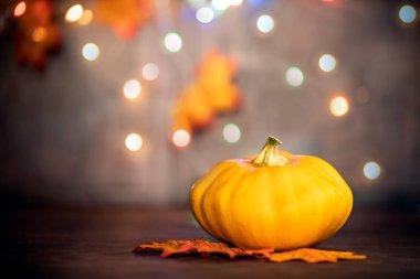 Sonbahar yapraklı balkabağı. bokeh arkaplan fotokopi alanı, renkli tasarım arkaplan Cadılar Bayramı ve Sonbahar, metin için boşluk
