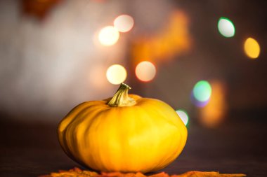Sonbahar yapraklı balkabağı. bokeh arkaplan fotokopi alanı, renkli tasarım arkaplan Cadılar Bayramı ve Sonbahar, metin için boşluk