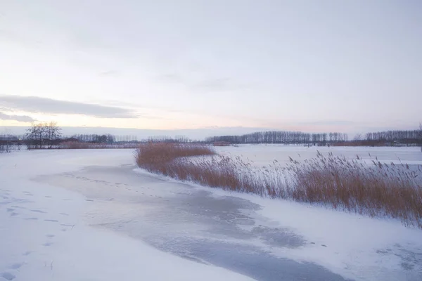 Schöne Winterlandschaft Bei Sonnenuntergang Mit Nebel Und Schnee Bedeckt Ackerland — Stockfoto