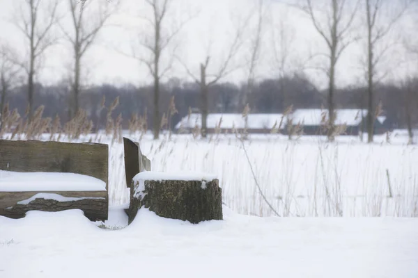 Banc Parc Arbres Couverts Neige Fraîche Dans Paysage Hivernal Nature — Photo