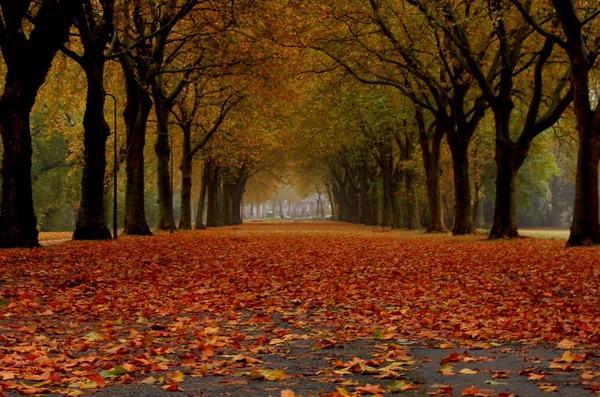 Droga jesienią — Zdjęcie stockowe
