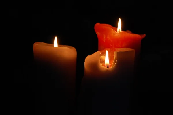 Velas de laranjeira — Fotografia de Stock