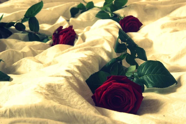 Rosas vermelhas na cama — Fotografia de Stock