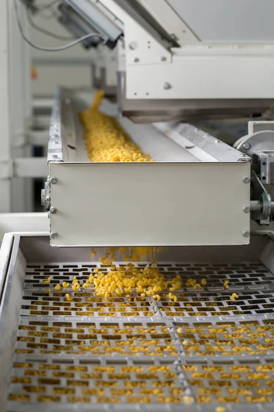 Pasta producing process, various types of pasta on conveyor belt