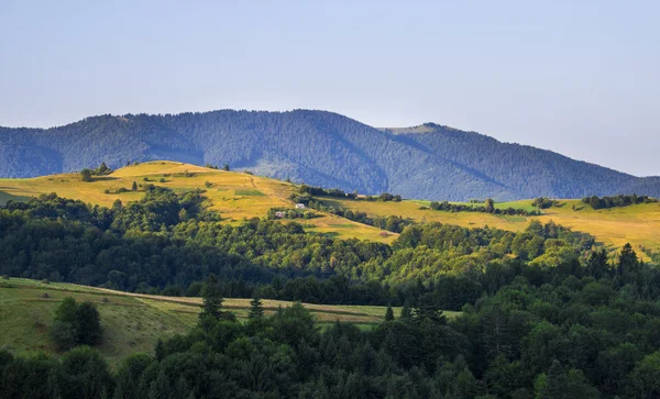 Berg i sommar Ukraina — Stockfoto