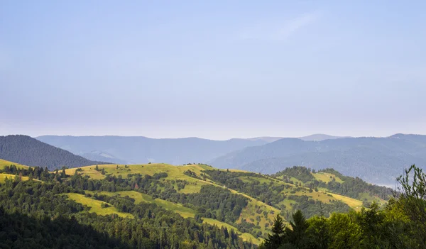 Berg i sommar Ukraina — Stockfoto