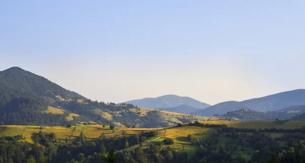 Berg i sommar Ukraina — Stockfoto