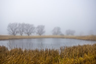 sis ve güzel sıcak renkler ile Orman Gölü sonbahar sabahı