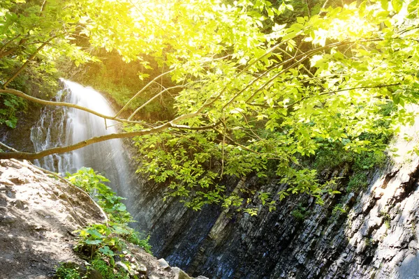 Vodopád v hluboké mech Les, čisté a svěží, v Karpatech, Ukrajina. — Stock fotografie