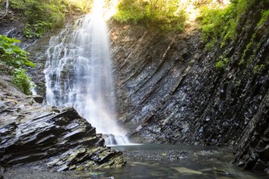 Şelale ormandaki derin moss, temiz ve taze Karpatlar, Ukrayna.