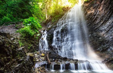 Şelale ormandaki derin moss, temiz ve taze Karpatlar, Ukrayna.