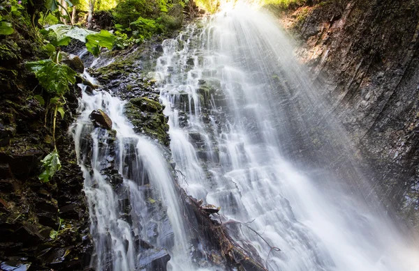 Cascada en bosque de musgo profundo, limpia y fresca en Cárpatos, Ucrania . — Foto de Stock