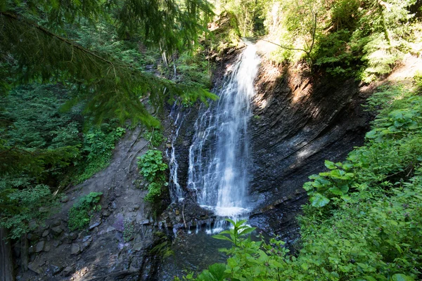 Cascada en bosque de musgo profundo, limpia y fresca en Cárpatos, Ucrania . —  Fotos de Stock