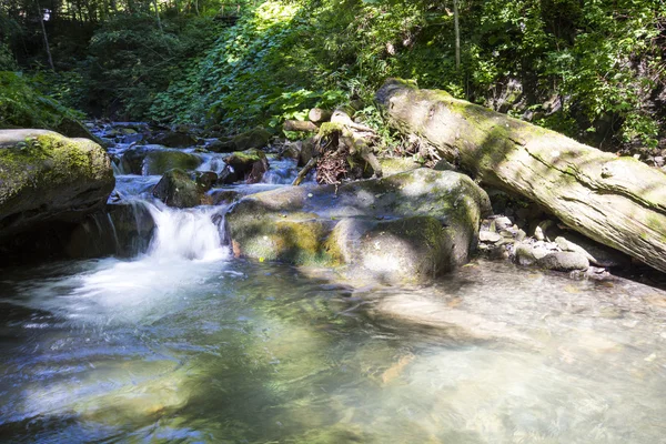 Cascada en bosque de musgo profundo, limpia y fresca en Cárpatos, Ucrania . —  Fotos de Stock