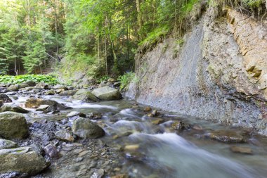 Derin moss yeşil ormanın içinden akan nehir dağ