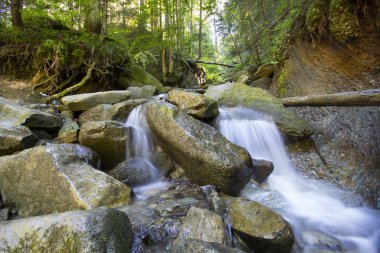 Derin moss yeşil ormanın içinden akan nehir dağ