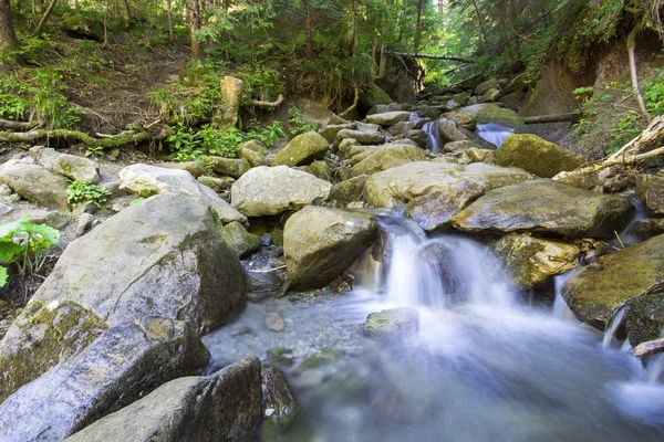 Horská řeka, která teče přes hluboké moss zelený Les — Stock fotografie