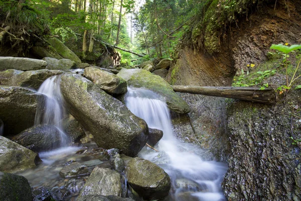 Horská řeka, která teče přes hluboké moss zelený Les — Stock fotografie