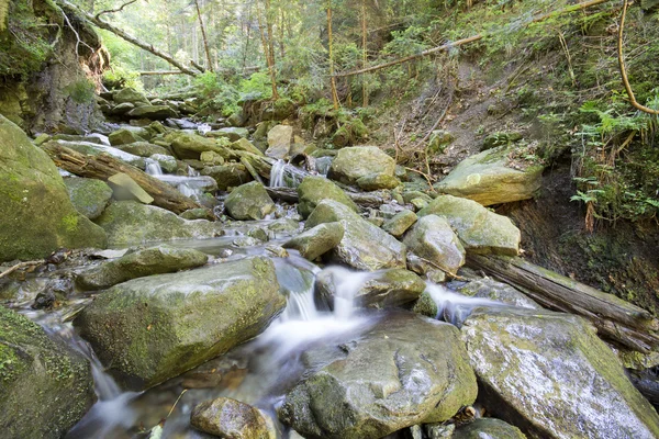 Río de montaña que fluye a través del profundo bosque verde musgo —  Fotos de Stock