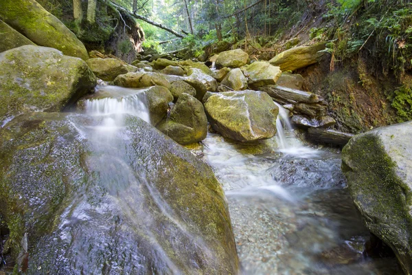 Horská řeka, která teče přes hluboké moss zelený Les — Stock fotografie