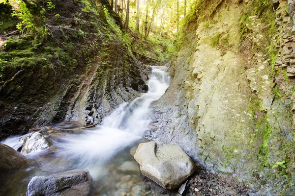 Horská řeka, která teče přes hluboké moss zelený Les — Stock fotografie