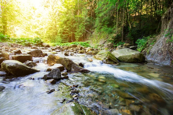 Río de montaña que fluye a través del profundo bosque verde musgo —  Fotos de Stock