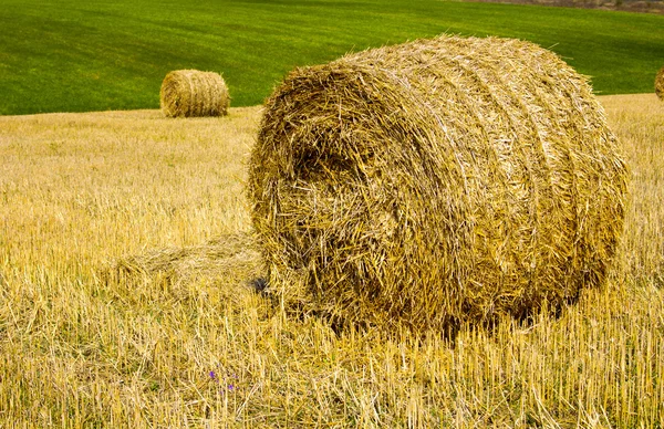 Golden straw bales on farmland. Abstract background. — Stock Photo, Image