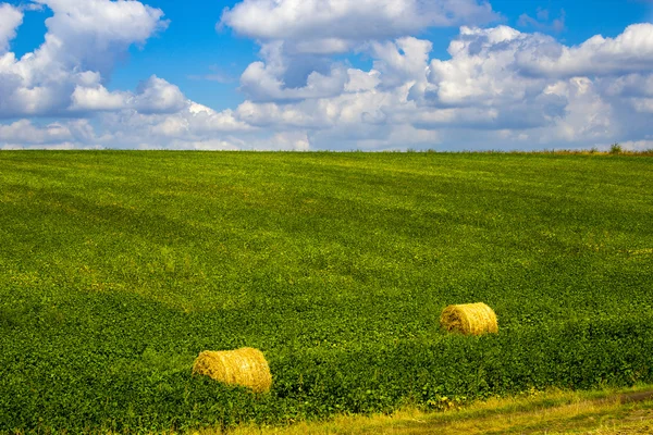 Golden straw bales on soybean field. Abstract background. — Stock Photo, Image