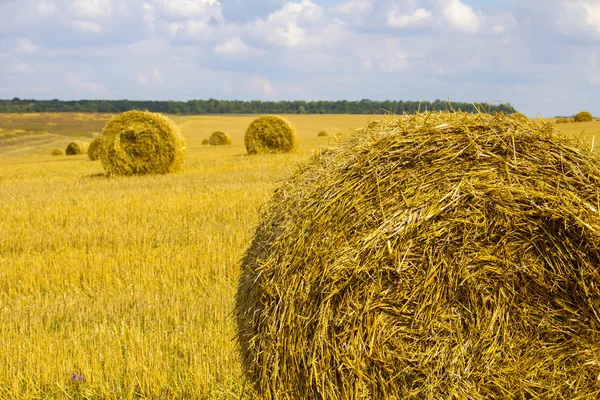 Golden straw bales on farmland. Abstract background. — Stock Photo, Image