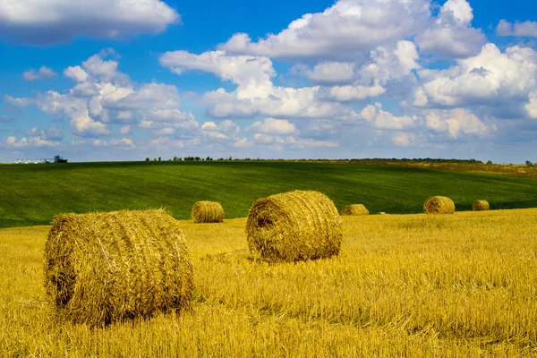 Golden straw bales on farmland. Abstract background. — Stock Photo, Image