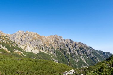 Polonya 'nın Tatra Dağları' ndaki Beş Polonya Gölet Vadisi 'ndeki Granaty ve Krzyzne kayalık dağ manzarası.