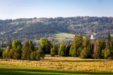 Polonya 'nın Zakopane kasabasının yukarısındaki Gubalowka Dağının manzarası, Polonya, sonbaharda kayak yamacı ve kırsal yapı manzarası, sonbahar renkleri dağ manzarası.