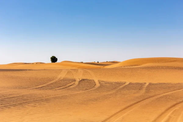Egyesült Arab Emírségek Sivatagi Táj Wild Ghaf Fák Keréknyomok Homokdűnék — Stock Fotó