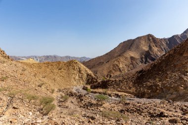 Hatta, Birleşik Arap Emirlikleri 'ndeki Hajar Dağları sert iklim, kuru, kayalık dağ yamaçları ve cüce ağaçlar ve çalılarla birlikte bir yürüyüş yolundan görülmektedir..