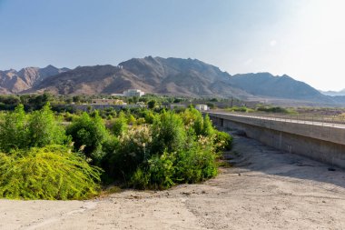 Şeyh Maktum Bin Rashid El Maktum Barajı, Hatta 'da nehir yatağı, arkasında yeşil bitki örtüsü ve Hajar Dağları, Birleşik Arap Emirlikleri.