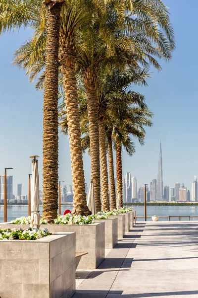 Dubai Creek Limanı 'nda sıra sıra hurma ağaçları ve arka planda Dubai şehir merkezi silüeti var..