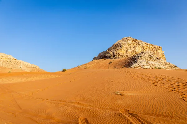 Fossil Rock Limestone Rock Formation Desert Sand Dunes Tire Tracks — Stock Fotó