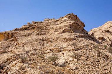 Şeriat 'taki Mleiha Arkeoloji Merkezi' ndeki Mağaralar Vadisi 'ndeki kuru, kireçtaşı dağları, Birleşik Arap Emirlikleri..