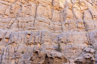 Limestone vertical cliff in Jebel Jais mountain range, Hajar Mountains, United Arab Emirates.