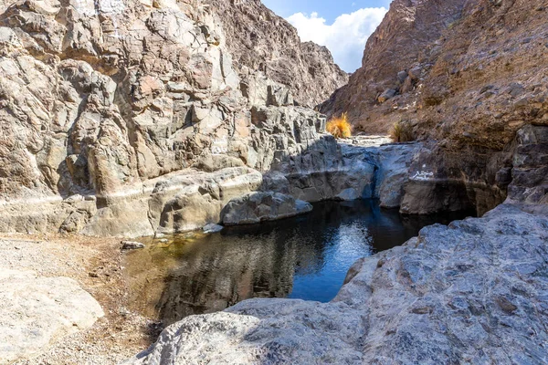 Wadi Shawka, Hajar Dağları, Birleşik Arap Emirlikleri, kayalık vadideki taşlı, neredeyse kurumuş nehir yatağındaki dağ patikalarını havuz ediyor..
