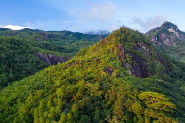 Morne Seychellois National Park aerial view from drone during sunset, golden hour, with lush tropical mountains, Mahe Island, Seychelles.