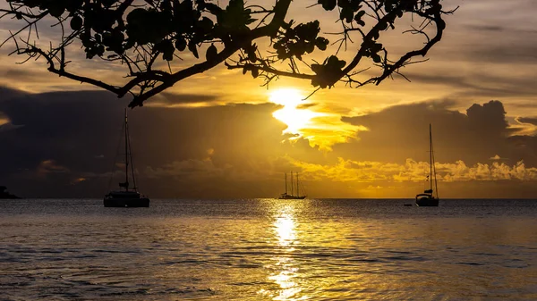 Pôr Sol Dourado Praia Anse Lazio Com Silhuetas Iates Galhos — Fotografia de Stock