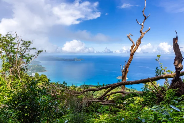 Paisaje Isla Mahe Seychelles Visto Desde Punto Vista Morne Blanc — Foto de Stock