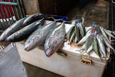 Victoria, Mahe, Seyşel 'de bir markette taze Jack balığı (Caranx hipopotamları) ve Hint uskumruları (Rastrelliger kanagurta) balık.